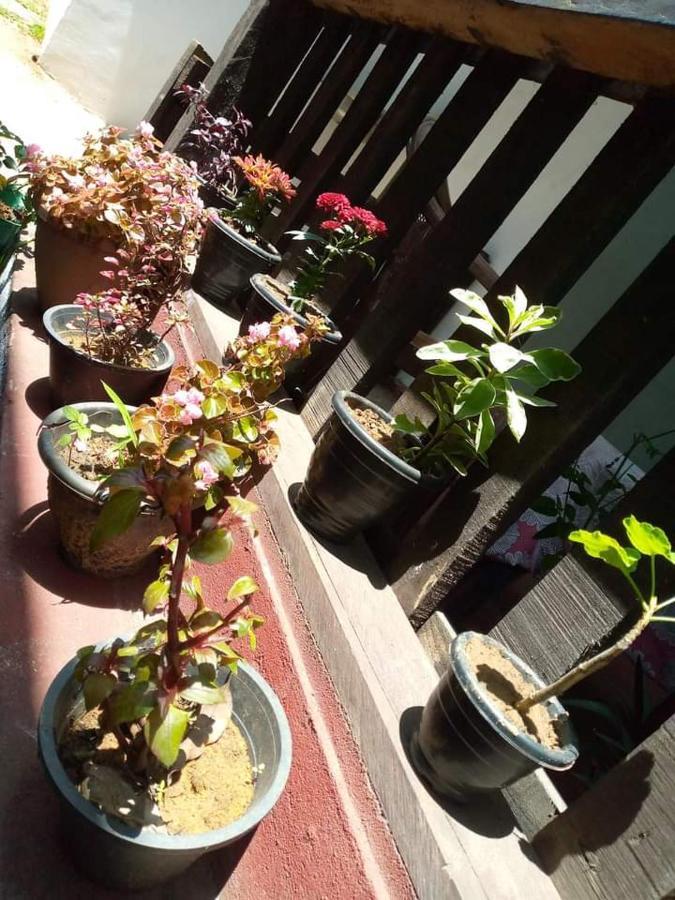 Ask Homestay Ella Extérieur photo