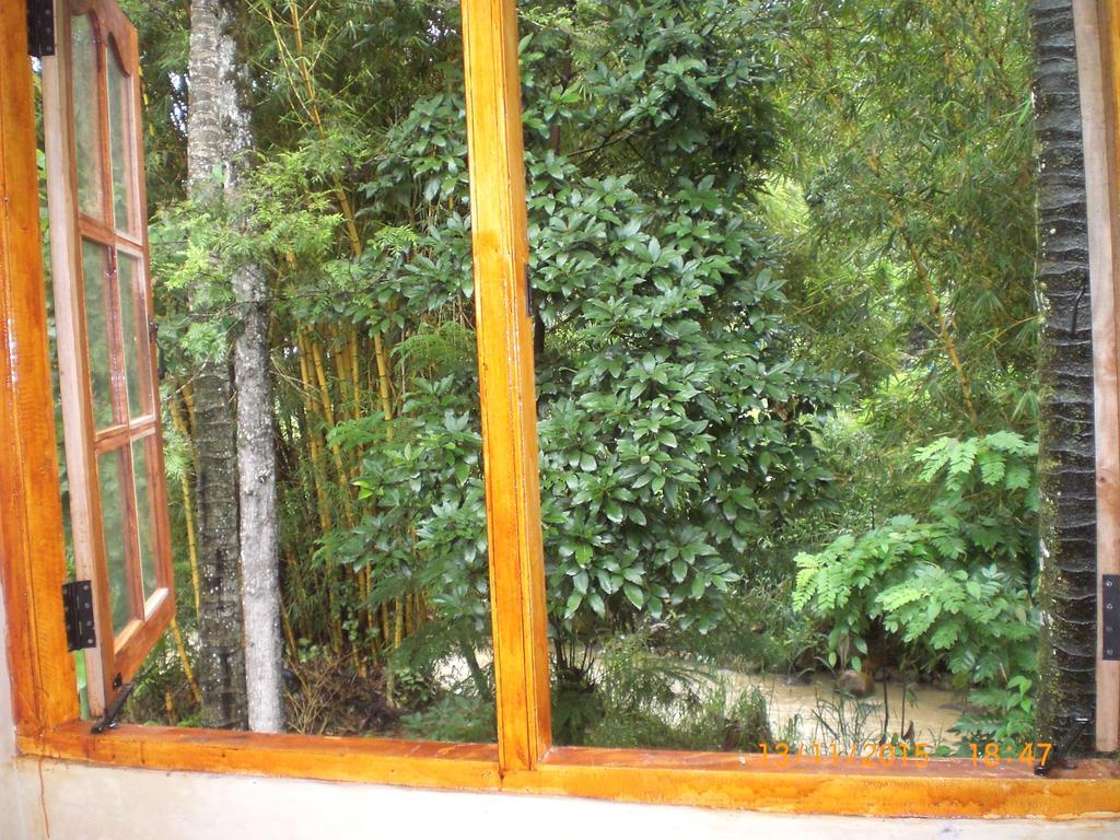 Ask Homestay Ella Extérieur photo